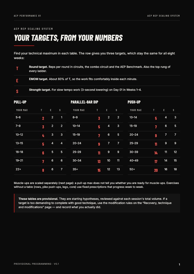 AEP Performance 01 guide page: 1 scaling system